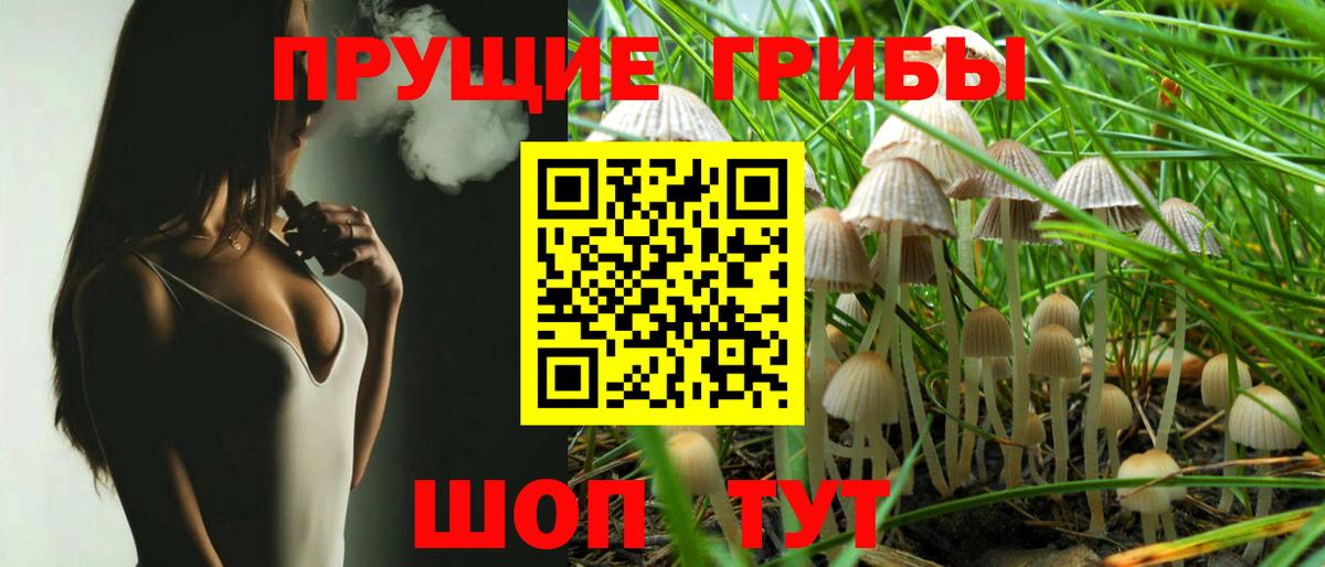 где продают наркотики  Псилоцибиновые грибы Psilocybe  Вход с VPN  Кизилюрт 