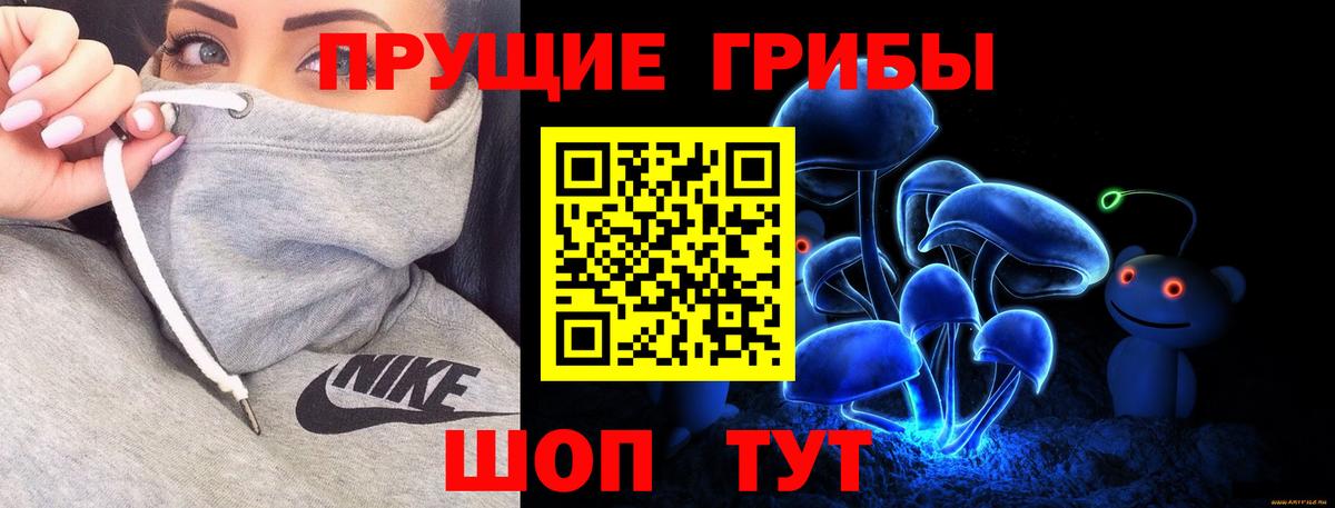 Псилоцибиновые грибы Psilocybine cubensis Кизилюрт