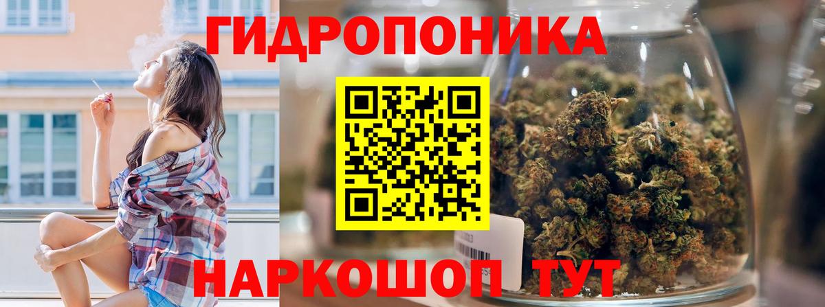 МАРИХУАНА конопля Кизилюрт